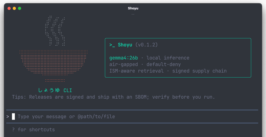 Offline-first coding agent